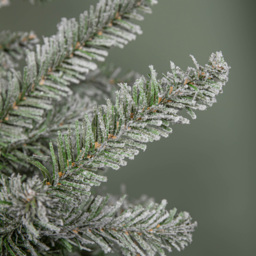 Samuel Alexander Snowy Green and White Everlands Liberty Spruce Artificial Christmas Tree 7ft - Green / White - Wilko - thumbnail 5