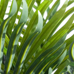 Leaf Mini Palm Artificial Tree in Pot 50cm - Size: 50 x 35 x 35cm - Green - Wilko - thumbnail 4