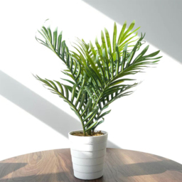 Leaf Mini Palm Artificial Tree in Pot 50cm - Size: 50 x 35 x 35cm - Green - Wilko - thumbnail 3
