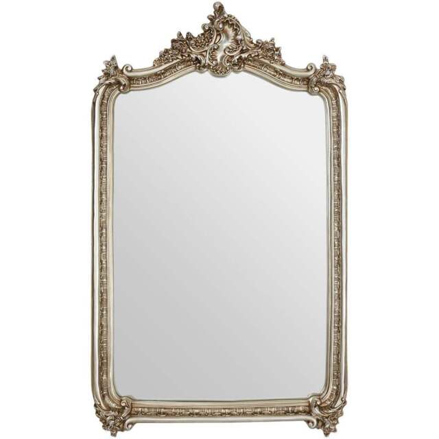Premier Housewares Ornate Champagne Wall Mirror 150 x 89cm - Gold - Wilko - image 1