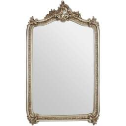 Premier Housewares Ornate Champagne Wall Mirror 150 x 89cm - Gold - Wilko - thumbnail 1
