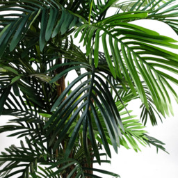 Botanik Areca Palm Artificial Tree in Pot 5ft - Size: 150 x 80 x 80cm - Green - Wilko - thumbnail 3