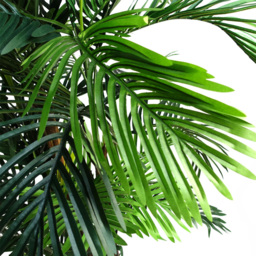 Botanik Areca Palm Artificial Tree in Pot 5ft - Size: 150 x 80 x 80cm - Green - Wilko - thumbnail 7