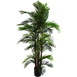 Botanik Areca Palm Artificial Tree in Pot 5ft - Size: 150 x 80 x 80cm - Green - Wilko - thumbnail 1
