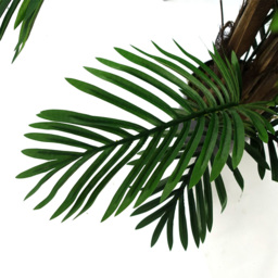 Botanik Areca Palm Artificial Tree in Pot 5ft - Size: 150 x 80 x 80cm - Green - Wilko - thumbnail 5