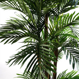 Botanik Areca Palm Artificial Tree in Pot 5ft - Size: 150 x 80 x 80cm - Green - Wilko - thumbnail 4