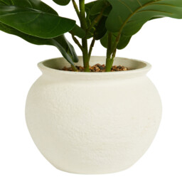 Fiddle Plant in Ceramic Pot - Green - Wilko - thumbnail 7