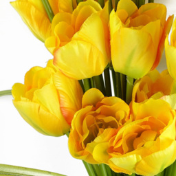 Leaf Tulip Yellow Single Stem Artificial Flower 6 Pack - Size: 80 x 10 x 10cm - Wilko - thumbnail 4