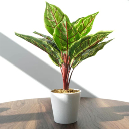 Leaf Calathea Veitchiana Artificial Plant in Pot 38cm 6 Pack - Size: 38 x 30 x 30cm - Green - Wilko - thumbnail 3