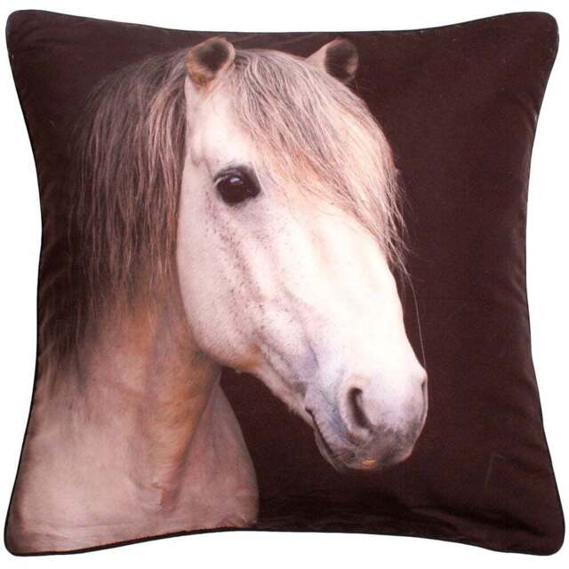 Velosso Horse Filled Cushion 43 x 43cm 2 Pack - n/a - Wilko - image 1