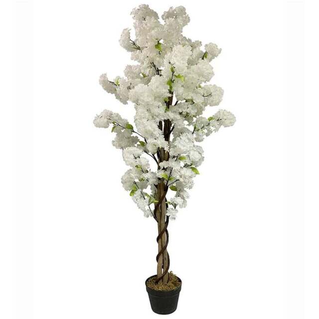 Botanik White Blossom Artificial Tree in Pot 5ft - Size: 150 x 60 x 60cm - Wilko - image 1