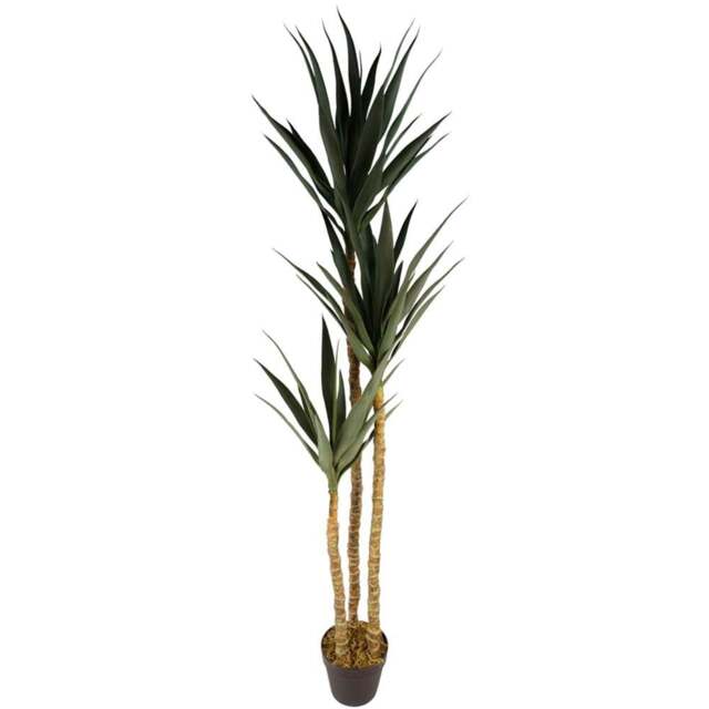 Botanik Tropical Yukka Artificial Tree in Pot 6ft - Size: 170 x 40 x 40cm - Green - Wilko - image 1