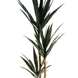 Botanik Tropical Yukka Artificial Tree in Pot 6ft - Size: 170 x 40 x 40cm - Green - Wilko - thumbnail 3