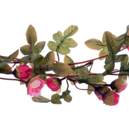 Living and Home Light Pink Artificial Rose Vine Hanging Garland 213cm - Size: 1 x 213 x 1cm - Wilko - thumbnail 5