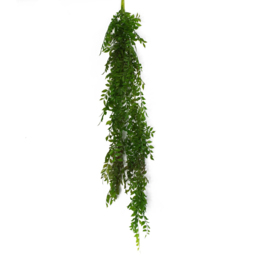 Leaf Artificial Hanging String of Pearls Dark Green Fern Plant 100cm - Size: 100 x 12 x 12cm - Wilko