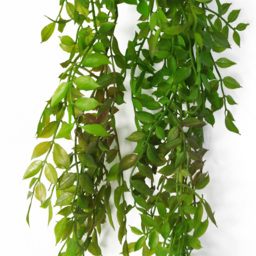 Leaf Artificial Hanging String of Pearls Dark Green Fern Plant 100cm - Size: 100 x 12 x 12cm - Wilko - thumbnail 3