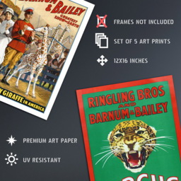 Artery8 Vintage Barnum and Bailey Greatest Show On Earth Circus Wall Art Print 30 x 41cm 5 Pack - Size: 40.5 x 30.5 x 0.3cm - Multi - Wilko - thumbnail 5