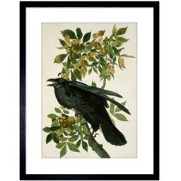 Wee Blue Coo Audubon Raven Painting Framed Wall Art Print 23 x 18cm - Size: 25.9 x 20.6 x 1.5cm - Black - Wilko - thumbnail 1