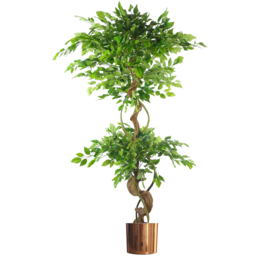 Botanik Japanese Fruticosa Ficus Artificial Tree with Twisted Trunk in Copper Metal Planter 5ft - Size: 150 x 60 x 60cm - Green - Wilko