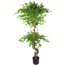 Botanik Japanese Fruticosa Ficus Artificial Tree with Twisted Trunk in Copper Metal Planter 5ft - Size: 150 x 60 x 60cm - Green - Wilko - thumbnail 3