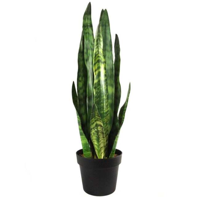 Botanik Zeylanica Sansevieria Tropical Snake Artificial Plant in Pot 2.3ft - Size: 70 x 17 x 17cm - Green - Wilko - image 1