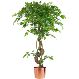 Botanik Japanese Fruticosa Ficus Artificial Tree with Twisted Trunk in Copper Metal Planter 4ft - Size: 120 x 60 x 60cm - Green - Wilko