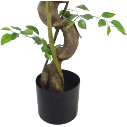 Botanik Japanese Fruticosa Ficus Artificial Tree with Twisted Trunk in Copper Metal Planter 4ft - Size: 120 x 60 x 60cm - Green - Wilko - thumbnail 5