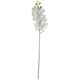 Leaf White Phalaenopsis Orchid Single Stem Artificial Flower 6 Pack - Size: 100 x 16 x 10cm - Wilko - thumbnail 3