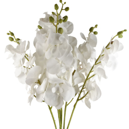 Leaf White Phalaenopsis Orchid Single Stem Artificial Flower 6 Pack - Size: 100 x 16 x 10cm - Wilko - thumbnail 4