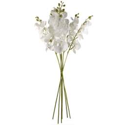 Leaf White Phalaenopsis Orchid Single Stem Artificial Flower 6 Pack - Size: 100 x 16 x 10cm - Wilko