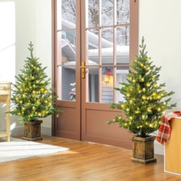 Everglow Artificial Potted Christmas Tree with LEDs 4ft 2 Pack - Green - Wilko - thumbnail 3