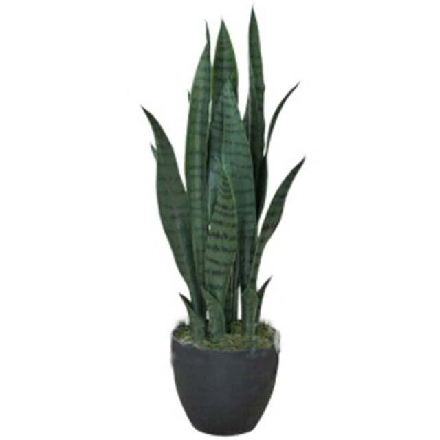 Botanik Sansevieria Dark Green Artificial Tree 70cm - Size: 70 x 15 x 15cm - Wilko - image 1