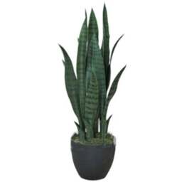 Botanik Sansevieria Dark Green Artificial Tree 70cm - Size: 70 x 15 x 15cm - Wilko - thumbnail 1