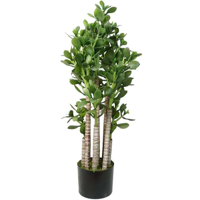 Botanik Green Jade Shrub Artificial Plant in Pot 75cm - Size: 75 x 25 x 25cm - Wilko - image 1