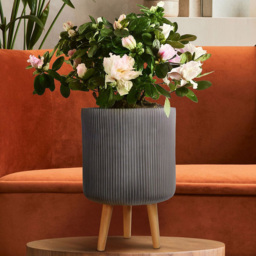 wilko Ribbed Black Indoor Cylinder Plant Pot with Legs 36cm - Instadecor - thumbnail 5