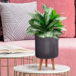 wilko Ribbed Black Indoor Cylinder Plant Pot with Legs 36cm - Instadecor - thumbnail 4