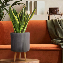 wilko Ribbed Black Indoor Cylinder Plant Pot with Legs 36cm - Instadecor - thumbnail 6