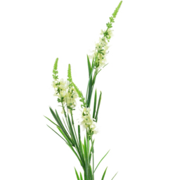 Leaf White Larkspur Artificial Stem 80cm 6 Pack - Size: 80 x 10 x 10cm - Wilko - thumbnail 4