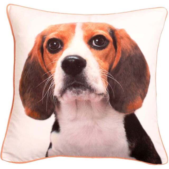 Velosso Charles Printed Filled Cushion 43 x 43cm 2 Pack - n/a - Wilko - image 1