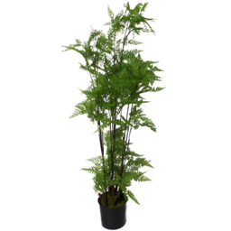 Botanik Moss Base Natural Fern Artificial Tree in Pot 5ft - Size: 150 x 60 x 60cm - Green - Wilko