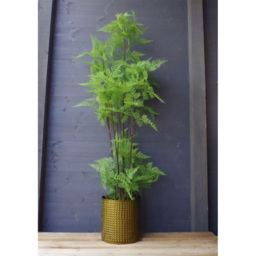 Botanik Moss Base Natural Fern Artificial Tree in Pot 5ft - Size: 150 x 60 x 60cm - Green - Wilko - thumbnail 3