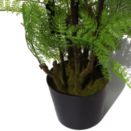 Botanik Moss Base Natural Fern Artificial Tree in Pot 5ft - Size: 150 x 60 x 60cm - Green - Wilko - thumbnail 5