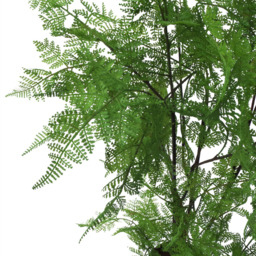 Botanik Moss Base Natural Fern Artificial Tree in Pot 5ft - Size: 150 x 60 x 60cm - Green - Wilko - thumbnail 7