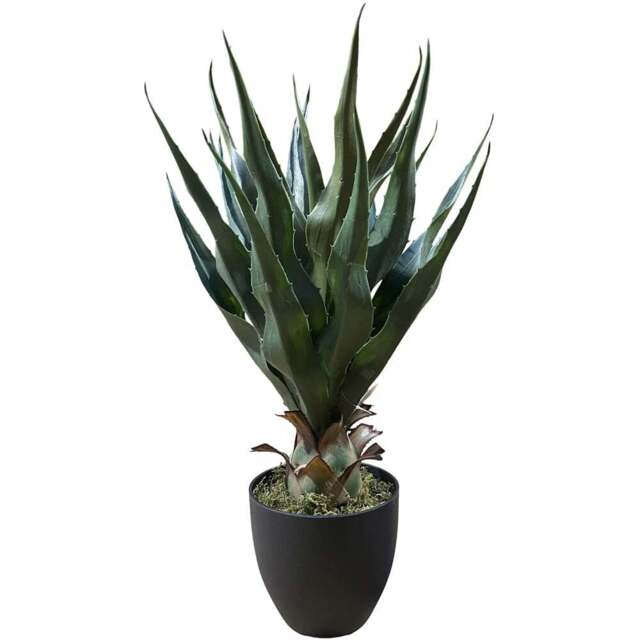 Botanik Agave Tropical Yucca Artificial Tree 70cm - Size: 70 x 50 x 50cm - Green - Wilko - image 1