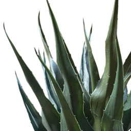 Botanik Agave Tropical Yucca Artificial Tree 70cm - Size: 70 x 50 x 50cm - Green - Wilko - thumbnail 4