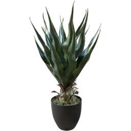 Botanik Agave Tropical Yucca Artificial Tree 70cm - Size: 70 x 50 x 50cm - Green - Wilko