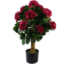 Botanik Pink Hydrangea Bush Artificial Plant in Pot 2.5ft - Size: 75 x 50 x 50cm - Dark Pink - Wilko - thumbnail 1