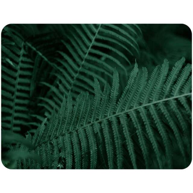 Benjamin Tate Design Deep Green Fern Leaves Blanket 120 x 150cm - Wilko - image 1