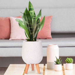 wilko Honeycomb White Indoor Plant Pot with Legs 34cm - Instadecor - thumbnail 4