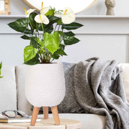 wilko Honeycomb White Indoor Plant Pot with Legs 34cm - Instadecor - thumbnail 5